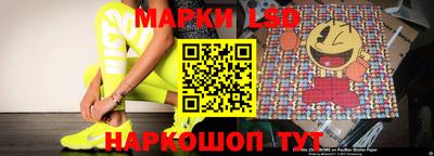 гидра Кандалакша