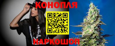 гидра Кандалакша